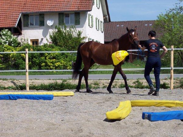 Dualaktivierung mit Mike