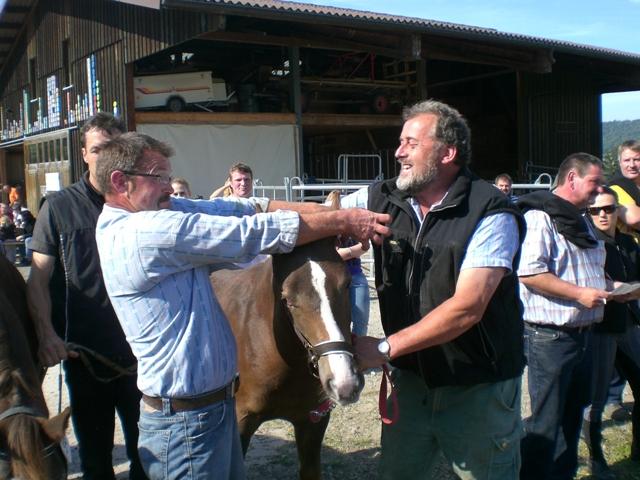 Fohlenschau 2009