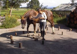 Kurse/Bodentraining/Carlo-Hoelzer.JPG